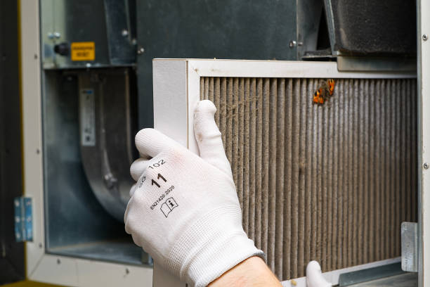 Best Affordable Air Duct Cleaning  in Schriever, LA